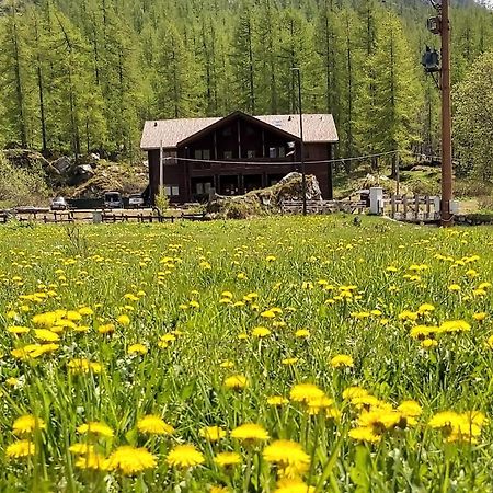 Chalet Rosa Dei Monti Piamprato Zewnętrze zdjęcie