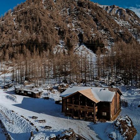 Chalet Rosa Dei Monti Piamprato Zewnętrze zdjęcie