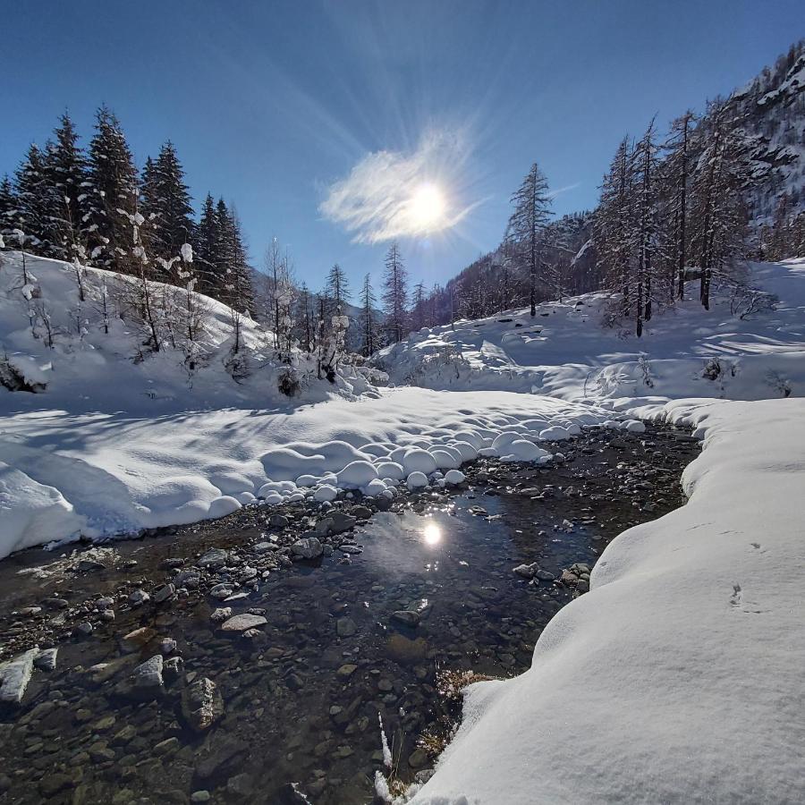 Chalet Rosa Dei Monti Piamprato Zewnętrze zdjęcie