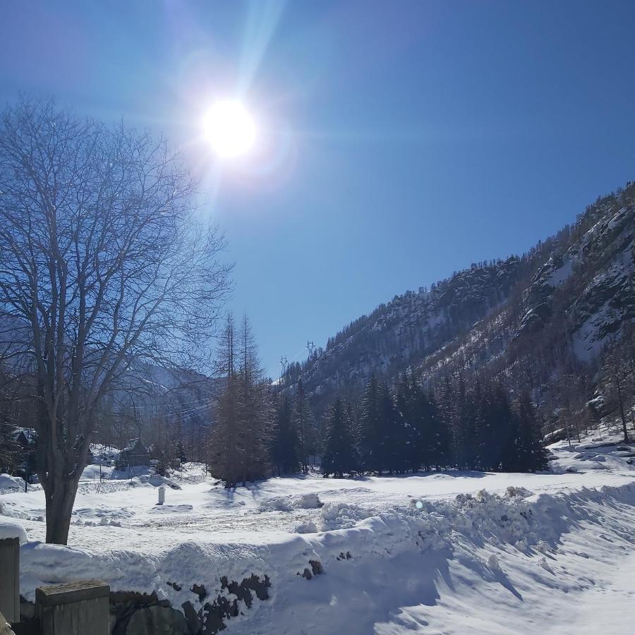 Chalet Rosa Dei Monti Piamprato Zewnętrze zdjęcie