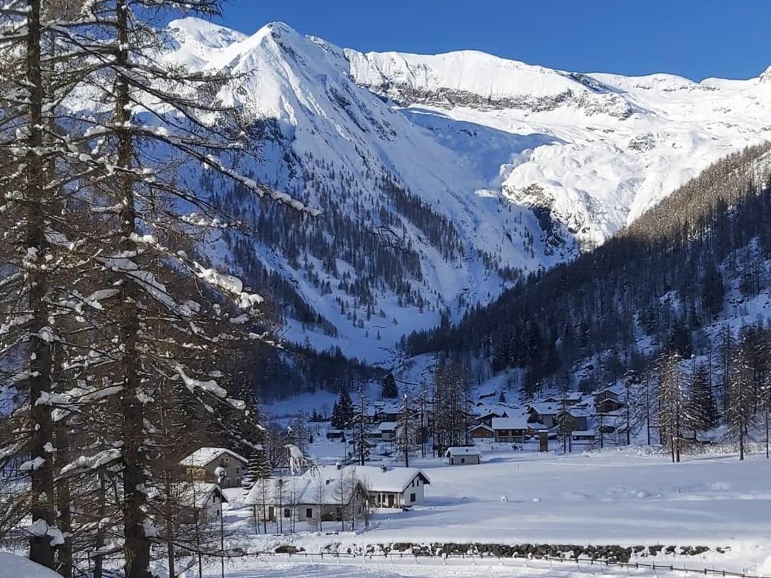 Chalet Rosa Dei Monti Piamprato Zewnętrze zdjęcie