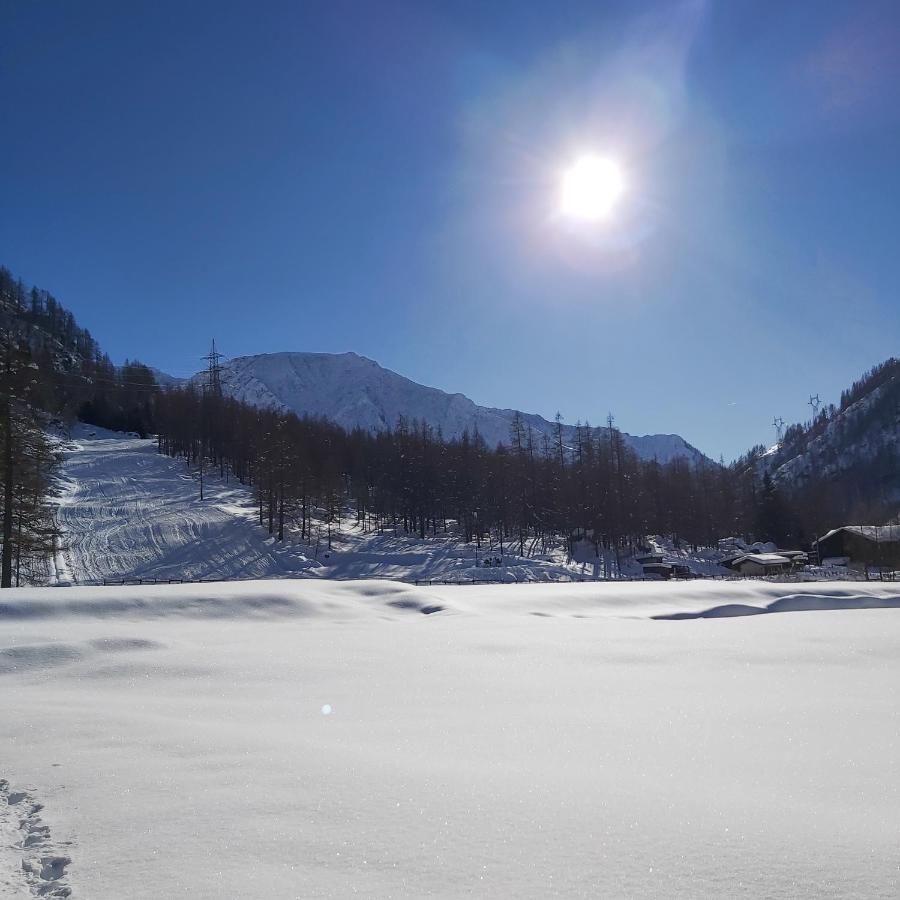 Chalet Rosa Dei Monti Piamprato Zewnętrze zdjęcie