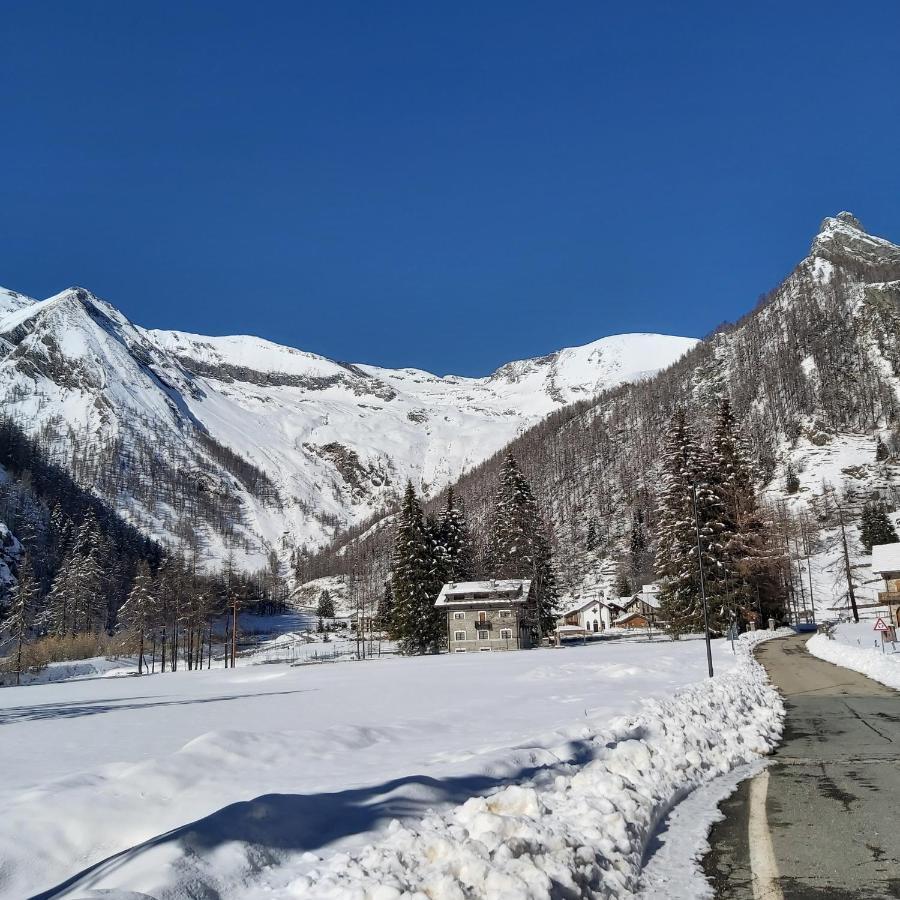 Chalet Rosa Dei Monti Piamprato Zewnętrze zdjęcie