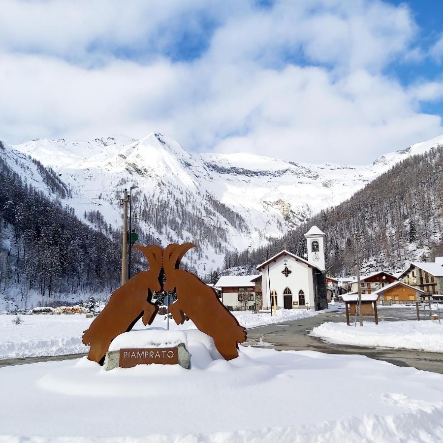 Chalet Rosa Dei Monti Piamprato Zewnętrze zdjęcie