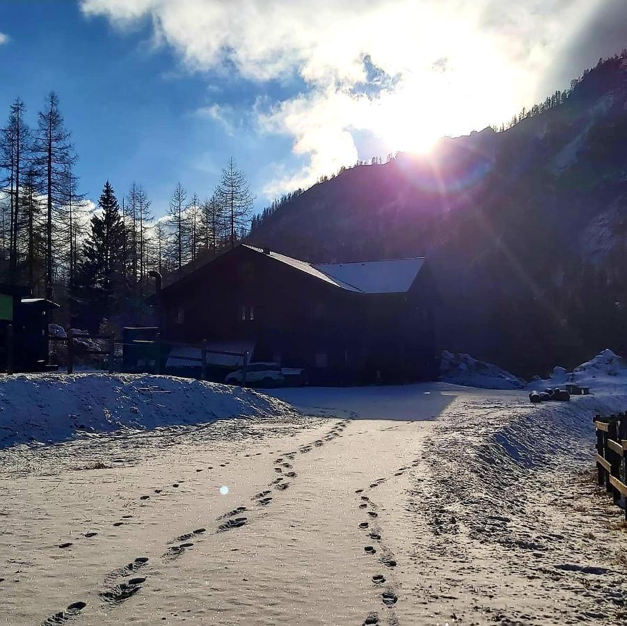 Chalet Rosa Dei Monti Piamprato Zewnętrze zdjęcie