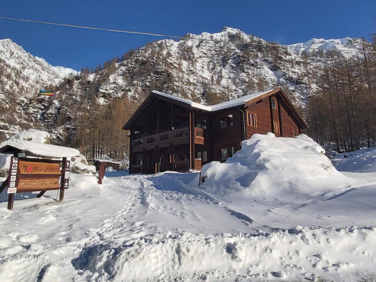 Chalet Rosa Dei Monti Piamprato Zewnętrze zdjęcie