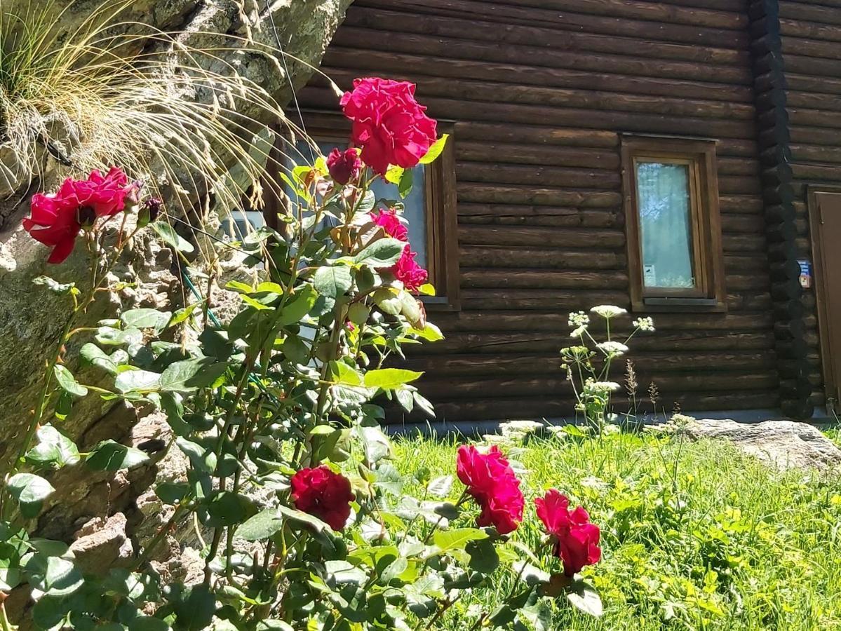 Chalet Rosa Dei Monti Piamprato Zewnętrze zdjęcie