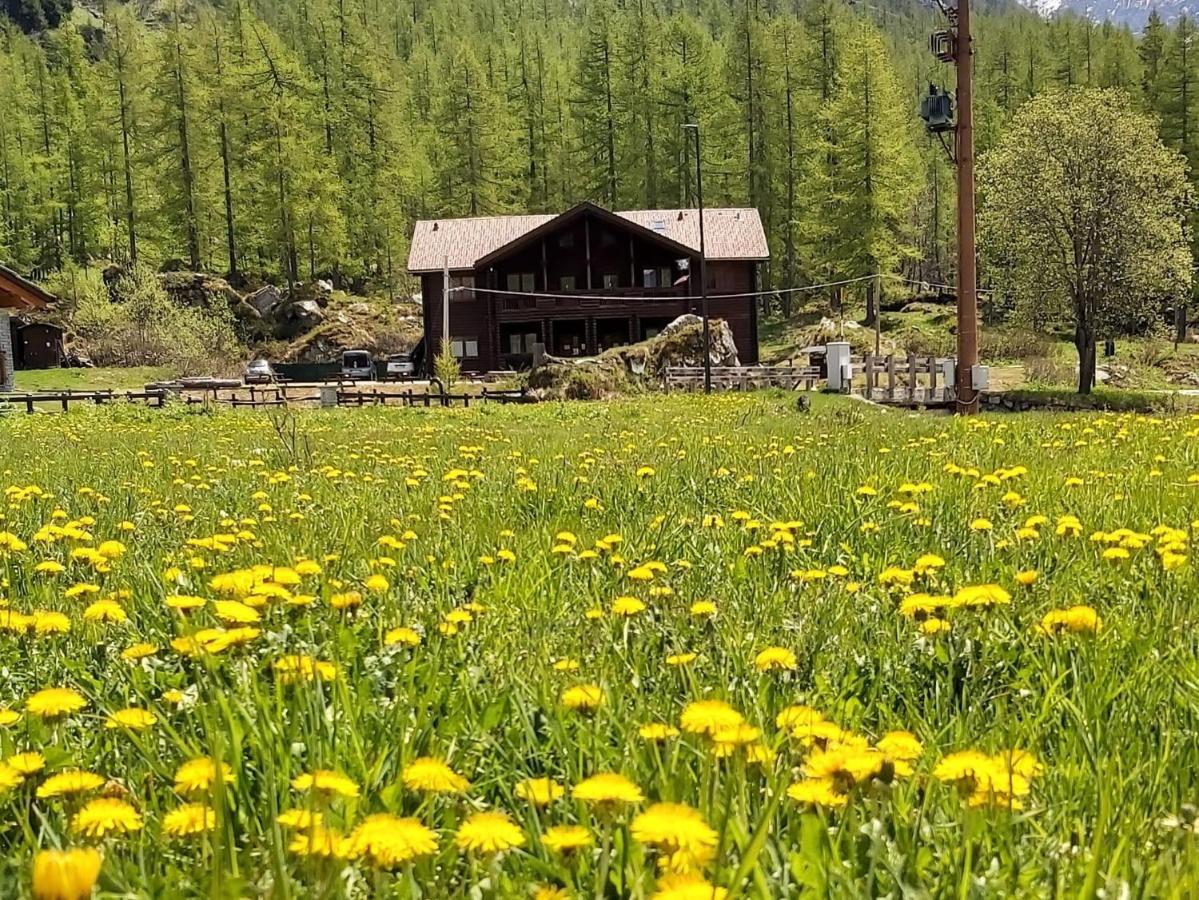 Chalet Rosa Dei Monti Piamprato Zewnętrze zdjęcie