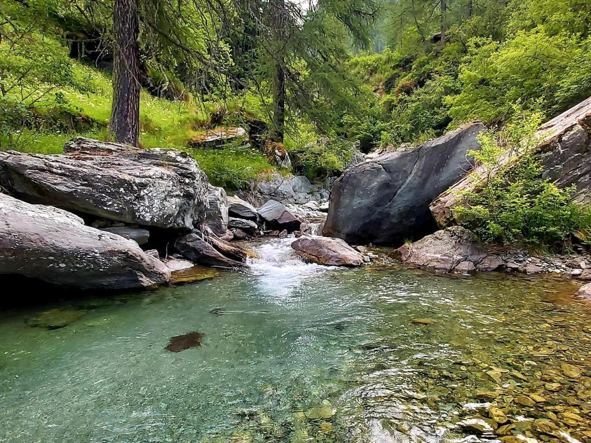 Chalet Rosa Dei Monti Piamprato Zewnętrze zdjęcie