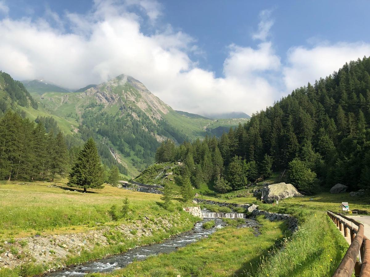 Chalet Rosa Dei Monti Piamprato Zewnętrze zdjęcie