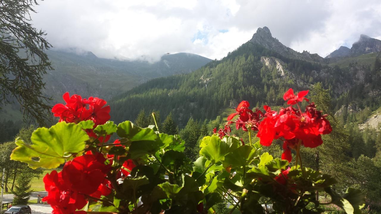 Chalet Rosa Dei Monti Piamprato Zewnętrze zdjęcie