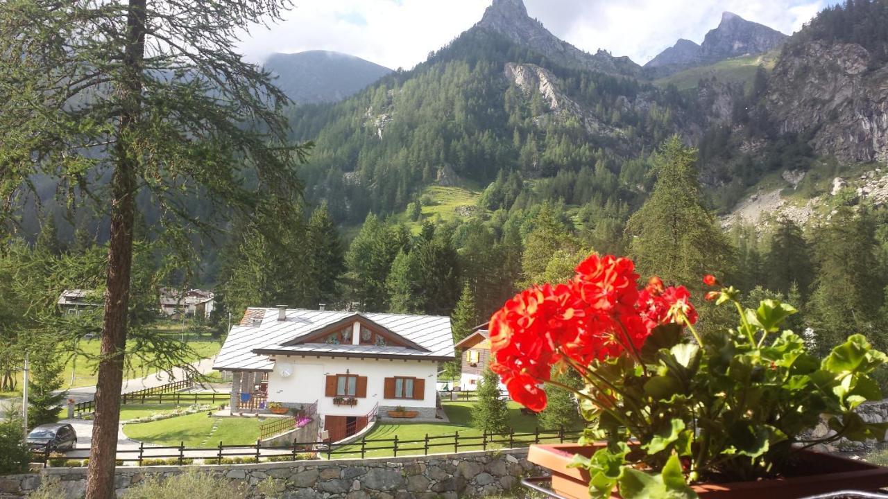Chalet Rosa Dei Monti Piamprato Zewnętrze zdjęcie