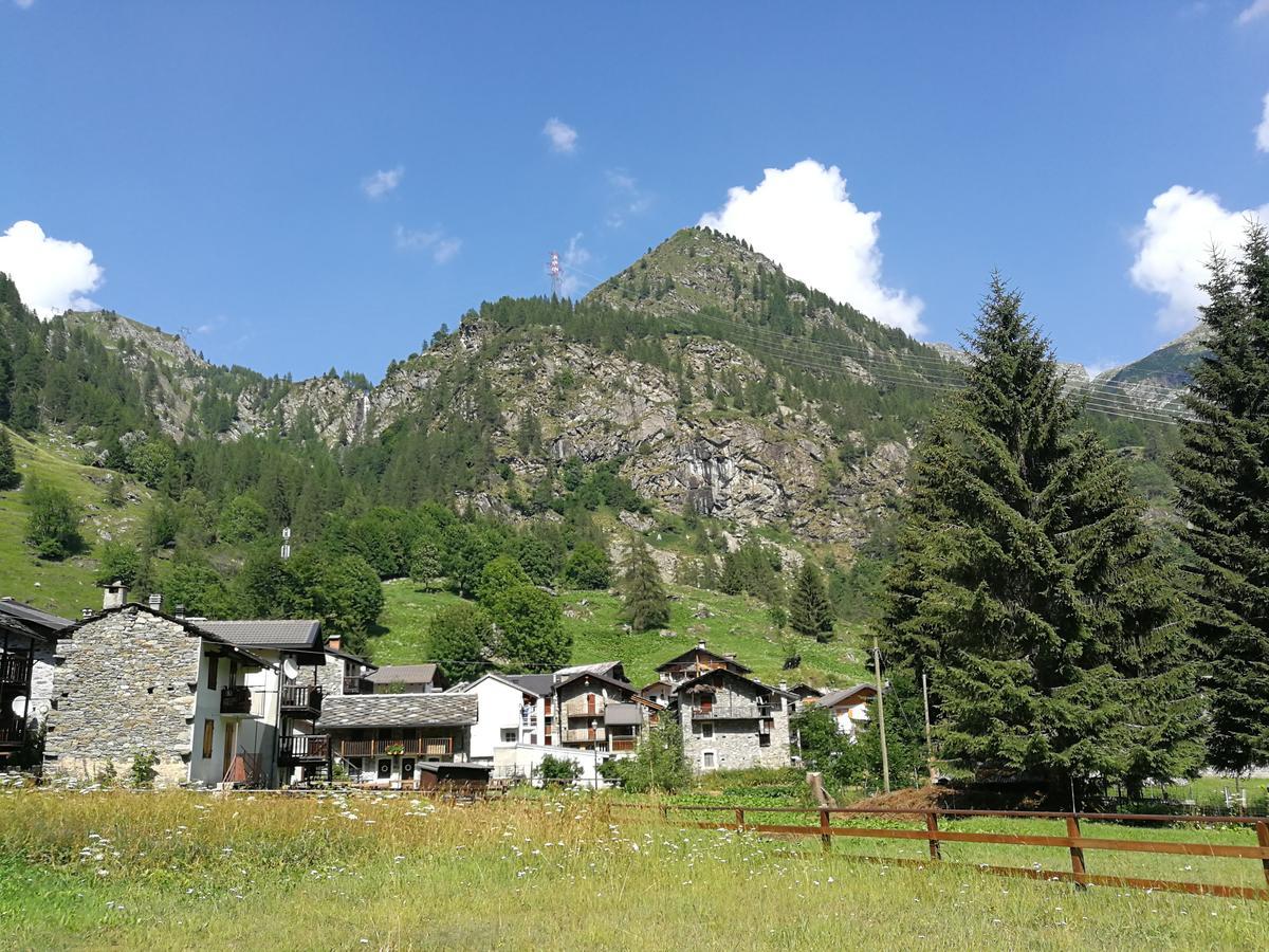 Chalet Rosa Dei Monti Piamprato Zewnętrze zdjęcie