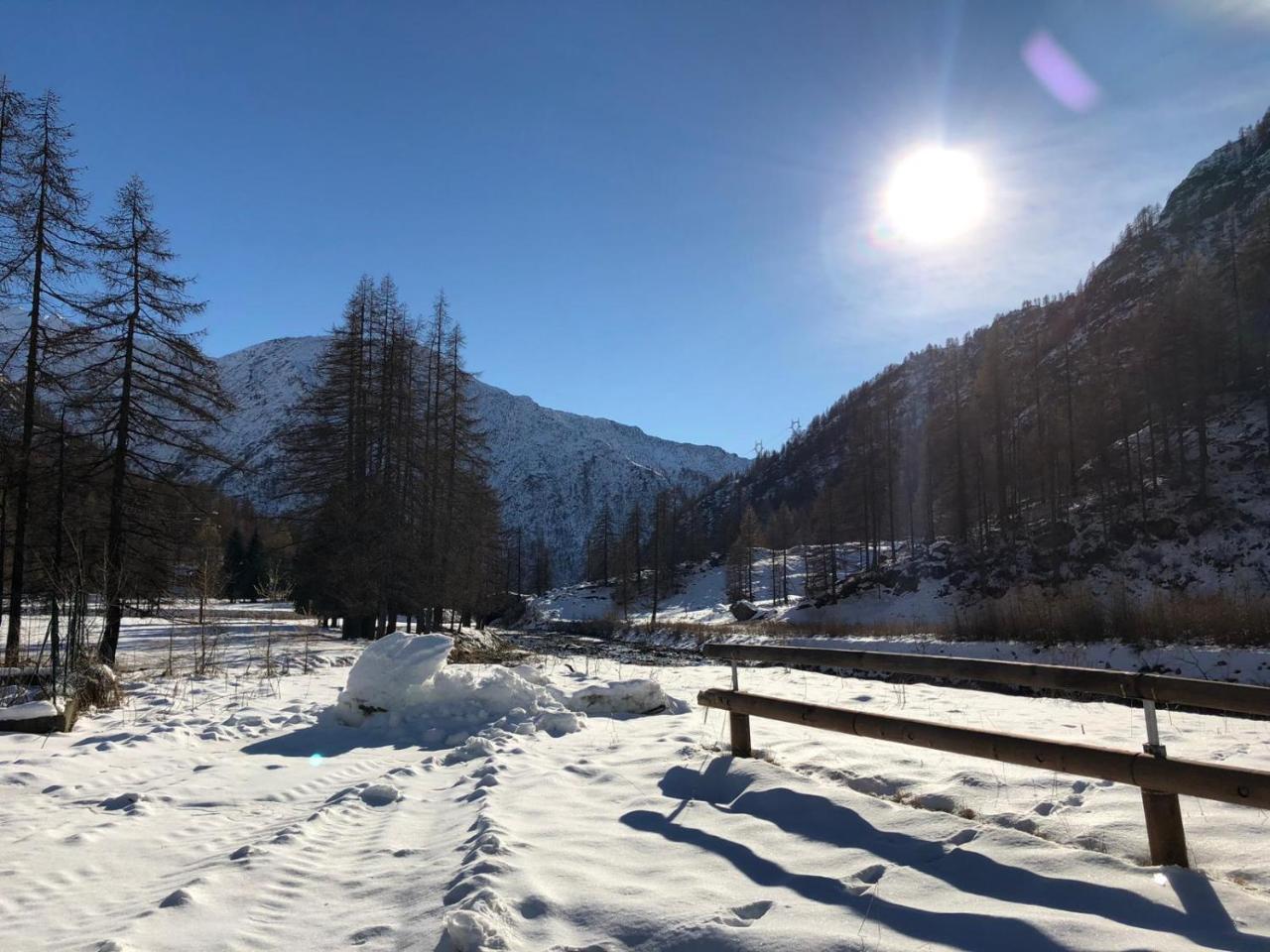 Chalet Rosa Dei Monti Piamprato Zewnętrze zdjęcie