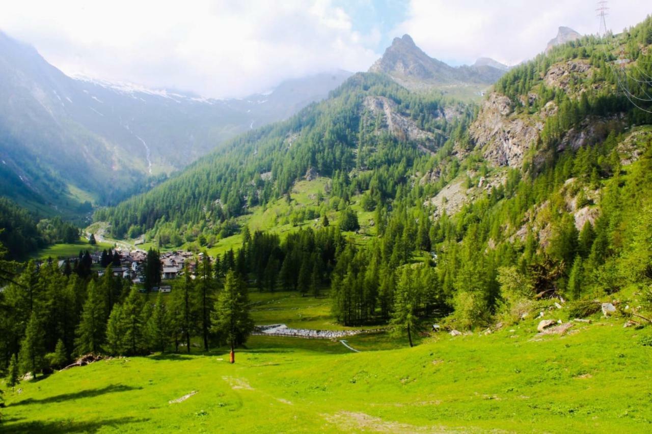 Chalet Rosa Dei Monti Piamprato Zewnętrze zdjęcie