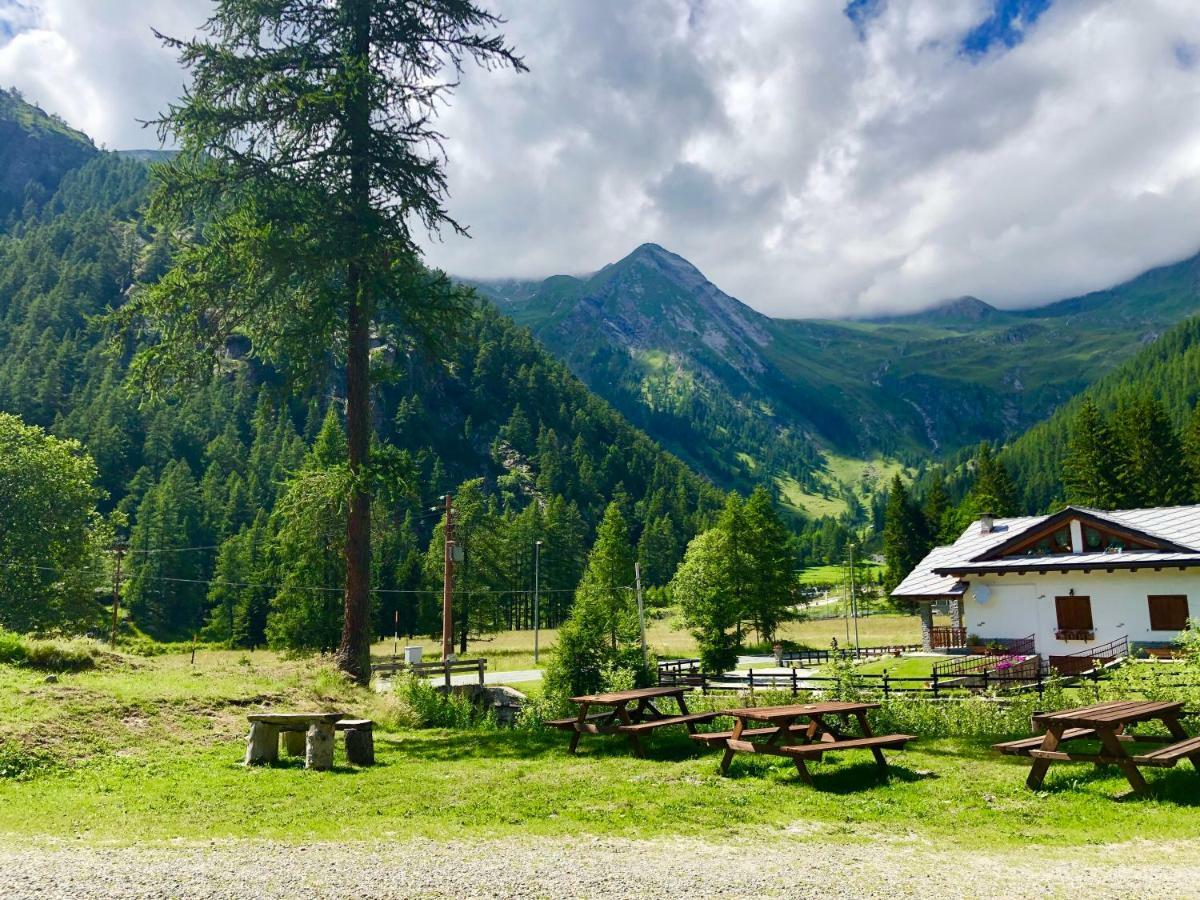 Chalet Rosa Dei Monti Piamprato Zewnętrze zdjęcie