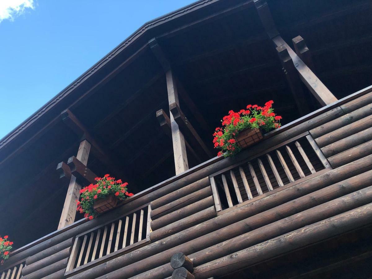 Chalet Rosa Dei Monti Piamprato Zewnętrze zdjęcie