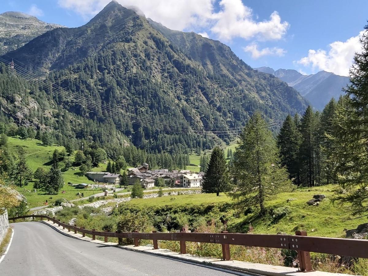 Chalet Rosa Dei Monti Piamprato Zewnętrze zdjęcie